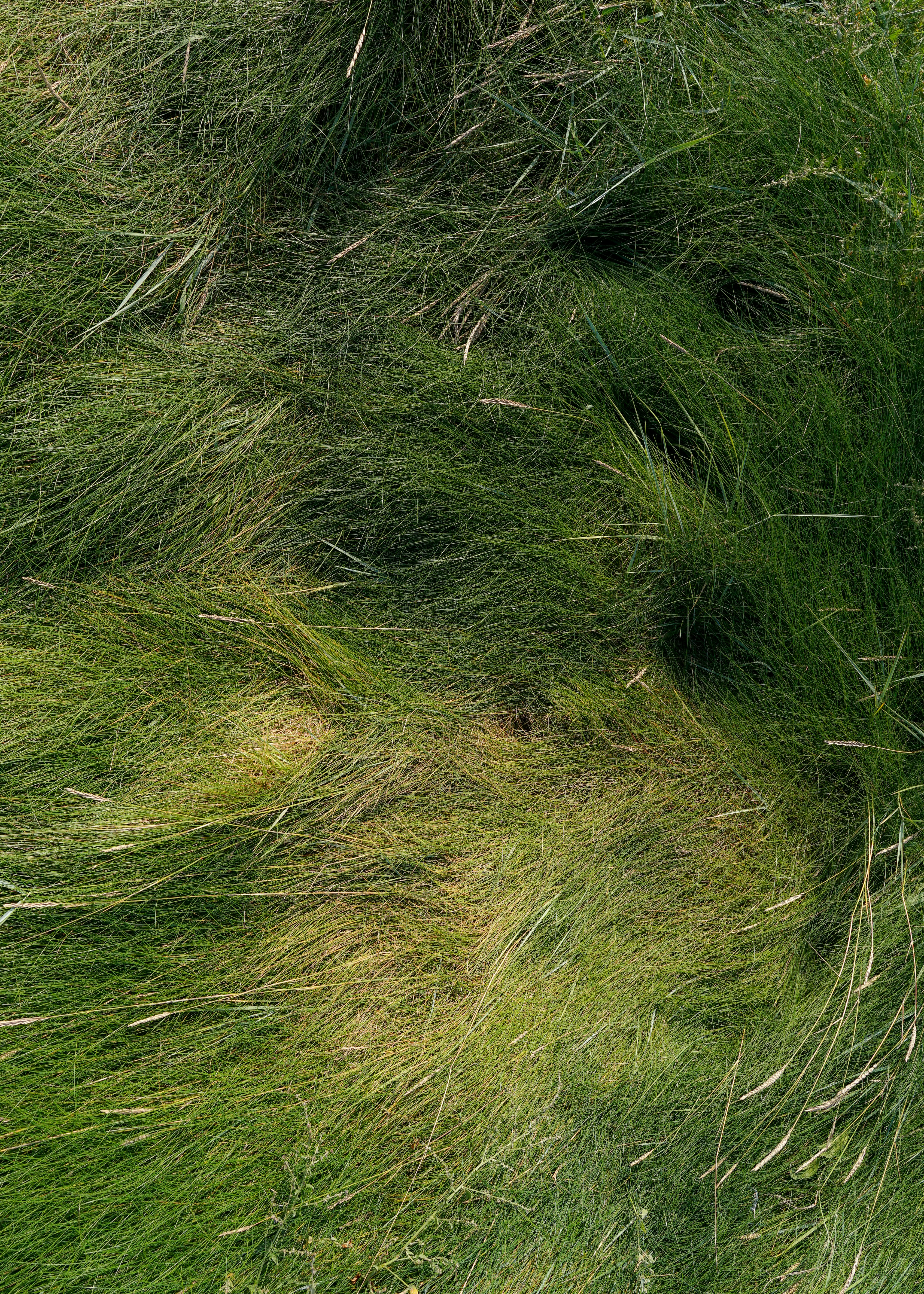 Photo by floriancordier