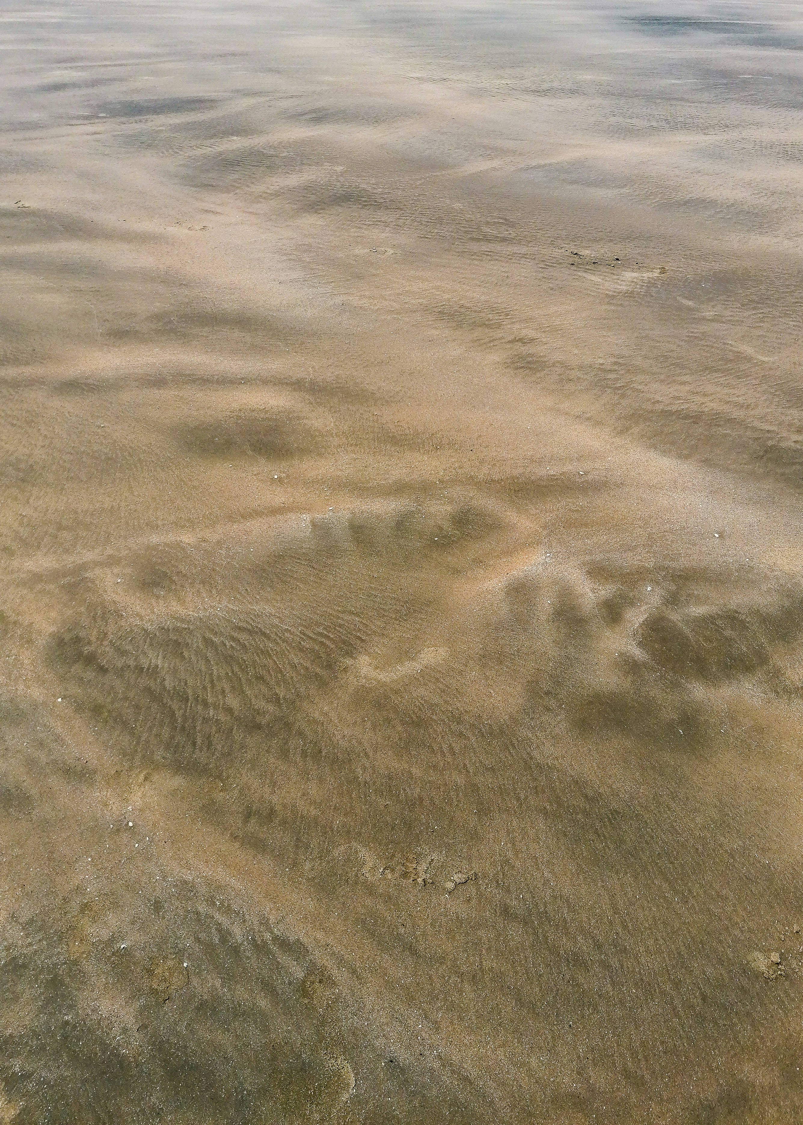 a plane flying over a sandy beach covered in sand