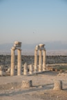 the ruins of the ancient city of palmyran