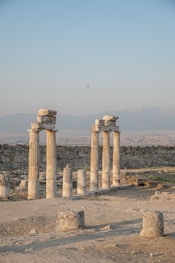 the ruins of the ancient city of palmyran