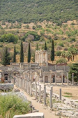 Ancient ruins bathed in warm afternoon light, framed by olive trees and rolling hills in Cyprus.