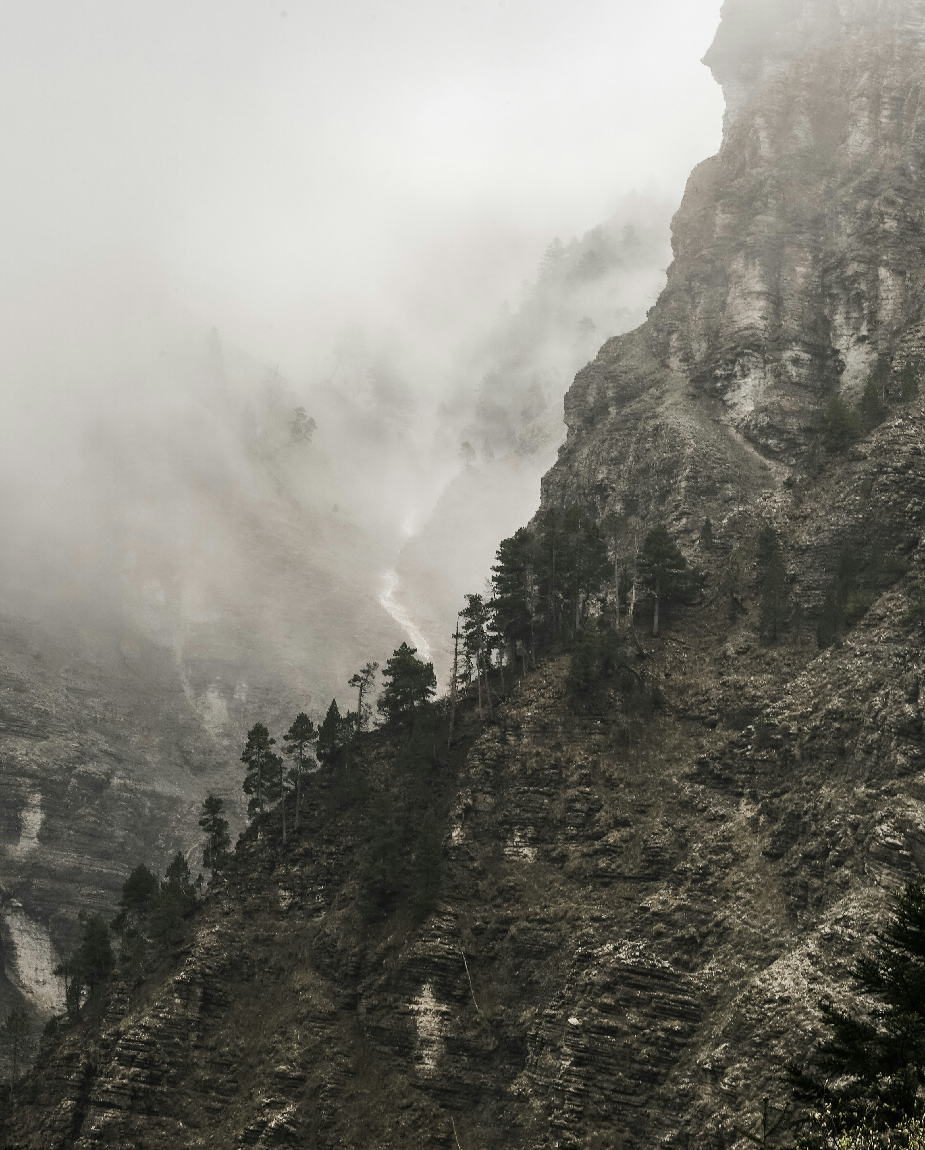 Photo by floriancordier