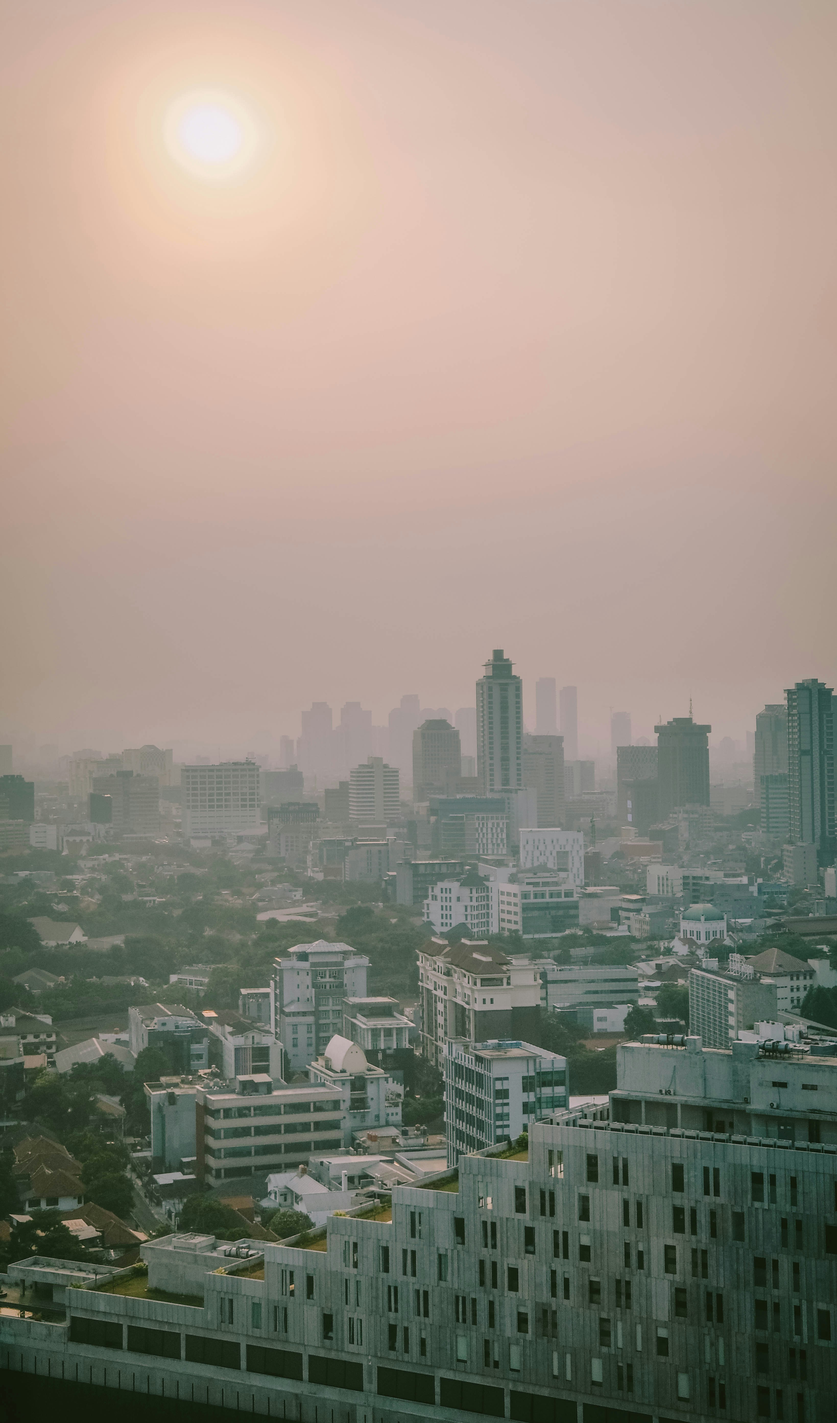 Photo by anniehatuanh