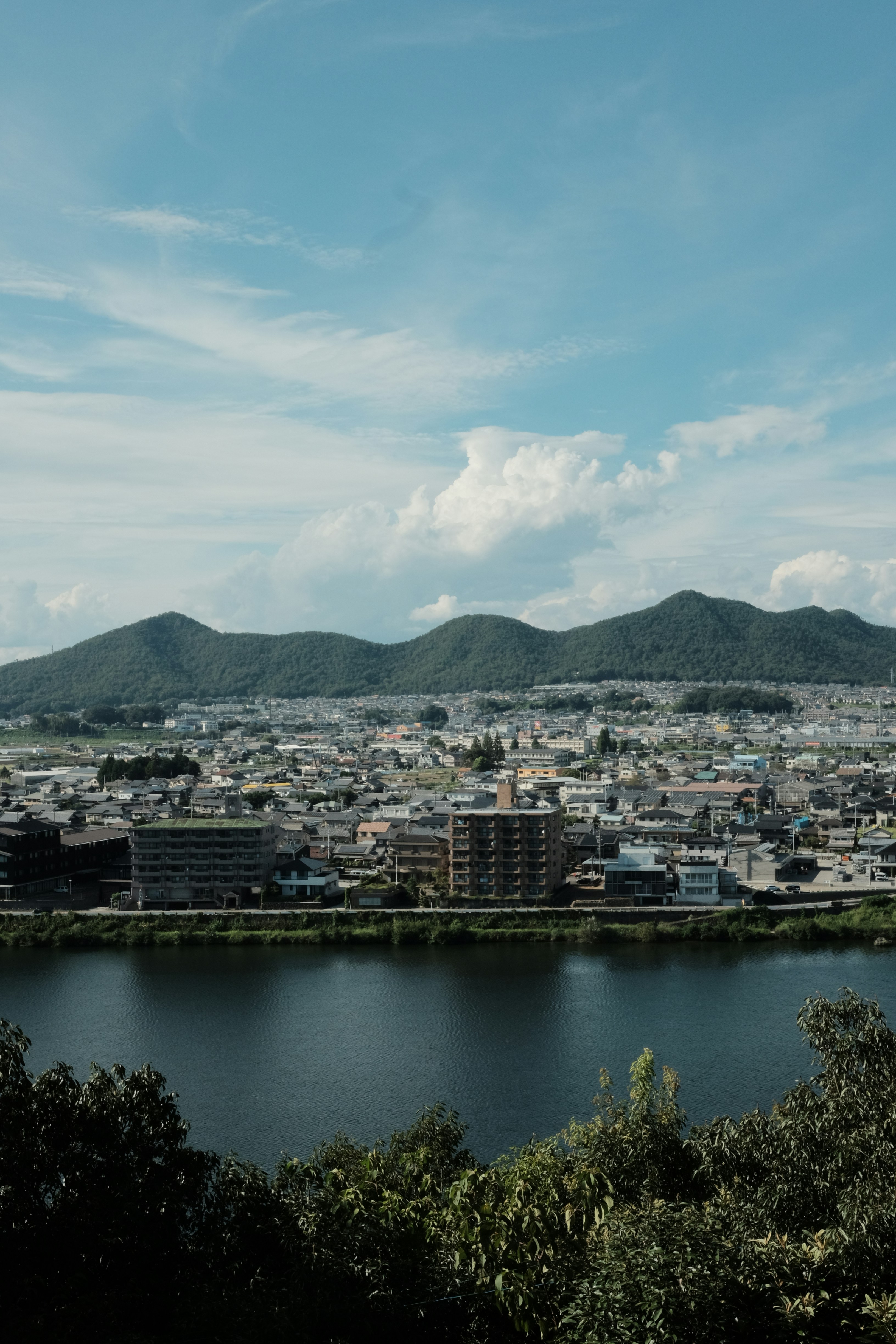 名古屋鲸鱼