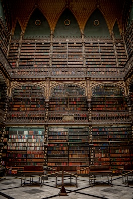 A grand library filled with ancient books and artifacts.