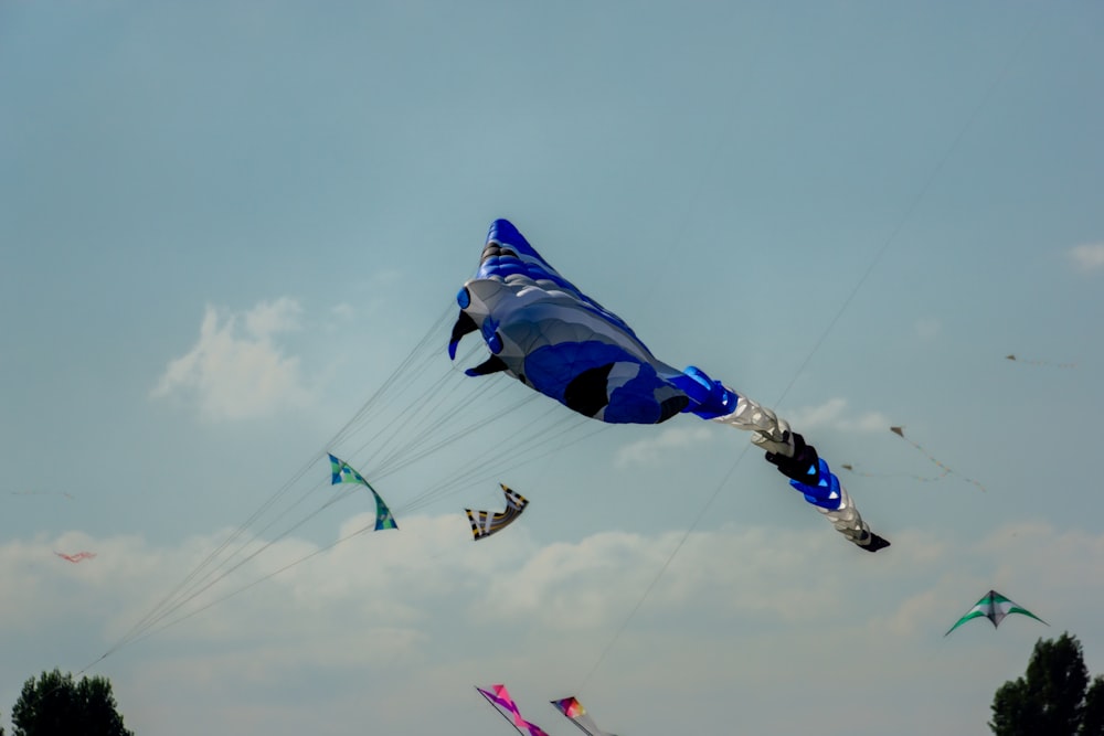 a bunch of kites that are flying in the sky