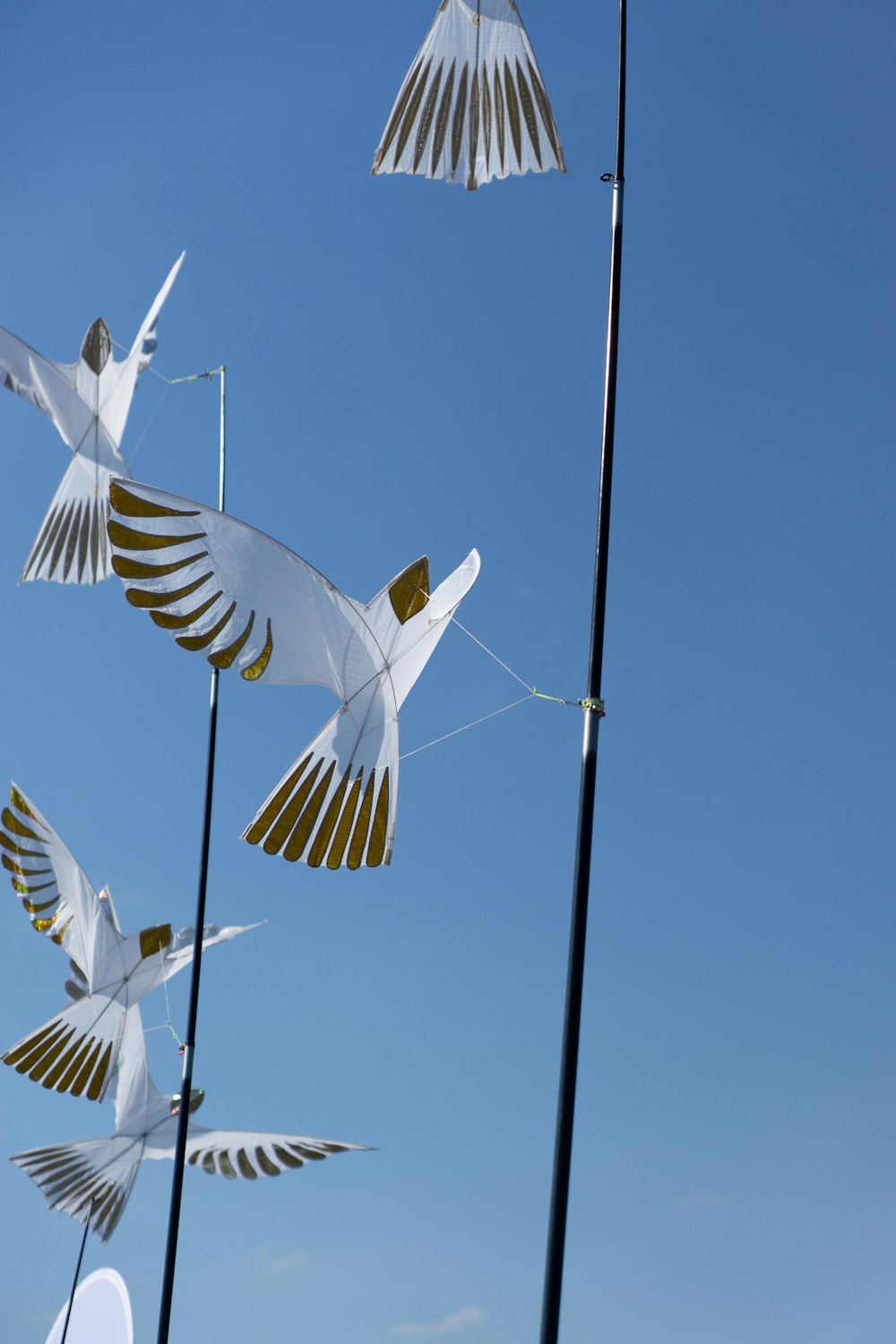 a group of birds that are flying in the air