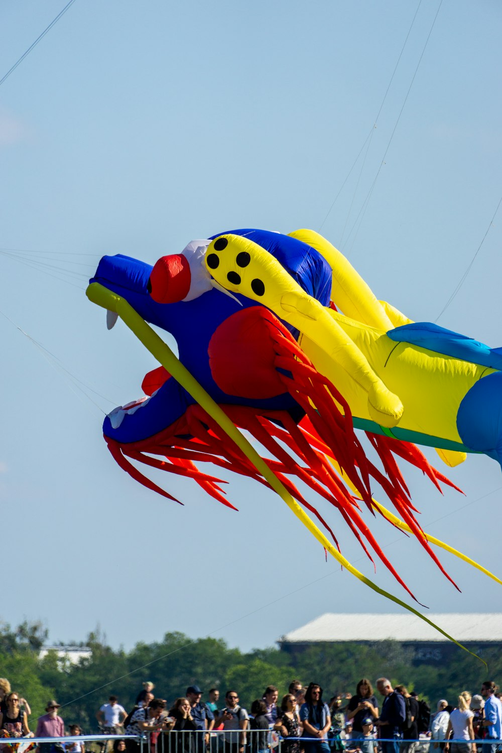 a group of people flying kites in the sky