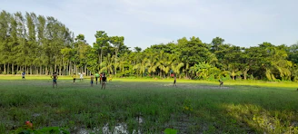 A lively group engaging in a fast-paced football challenge on a bright field.