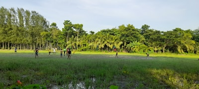 A group of people are playing a game on a grassy field surrounded by lush greenery and tall trees. The field appears to be slightly muddy or wet, indicating recent rain. The sky is clear, adding to the bright and lively scene.