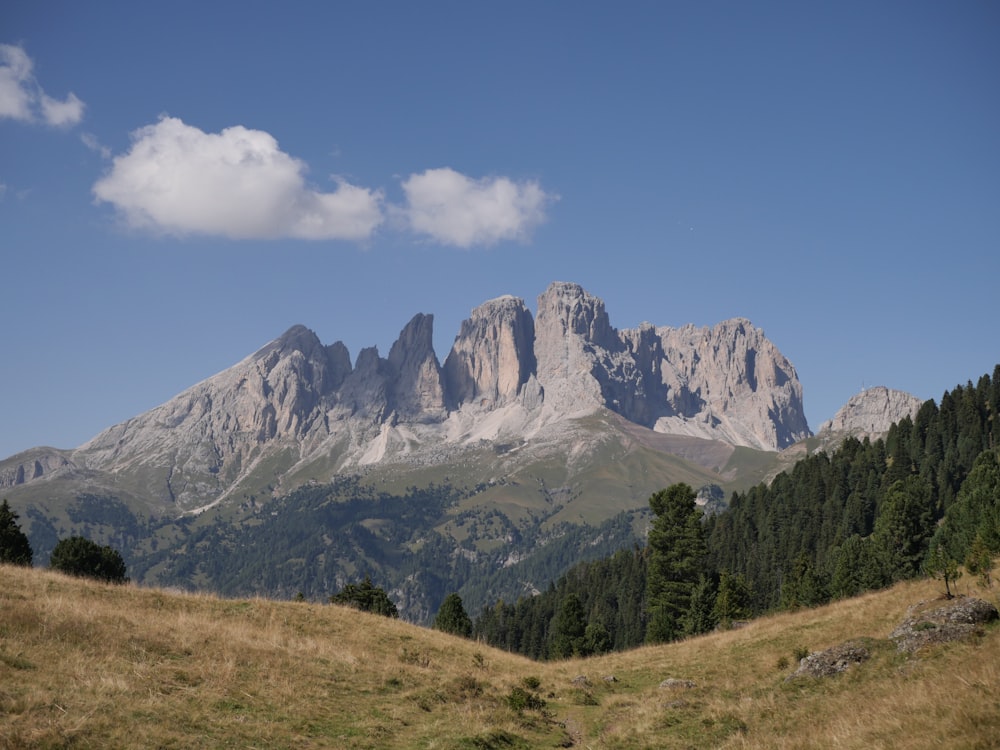 a grassy field with a mountain in the background