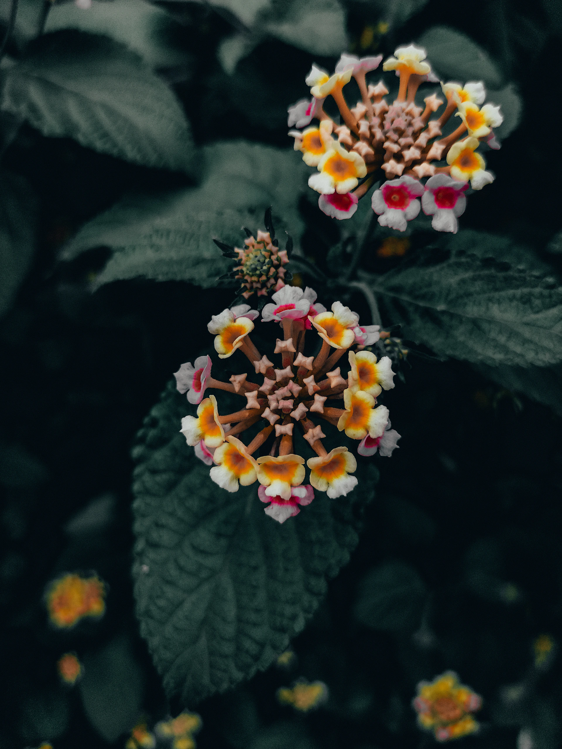 woman wearing yellow long-sleeved dress under white clouds and blue sky during daytime