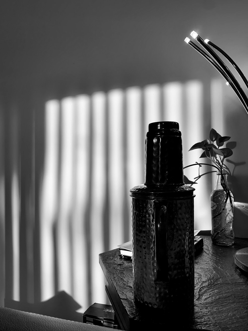 uma foto em preto e branco de um vaso com uma planta