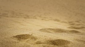 Footprints in the sand leading off into the distance. The sand appears smooth and undisturbed except for the impressions left by the footsteps.