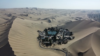 An oasis surrounded by vast sand dunes with a small settlement and a green lagoon at the center. The landscape is arid and expansive, with the settlement providing a contrasting splash of greenery and life amidst the desert.