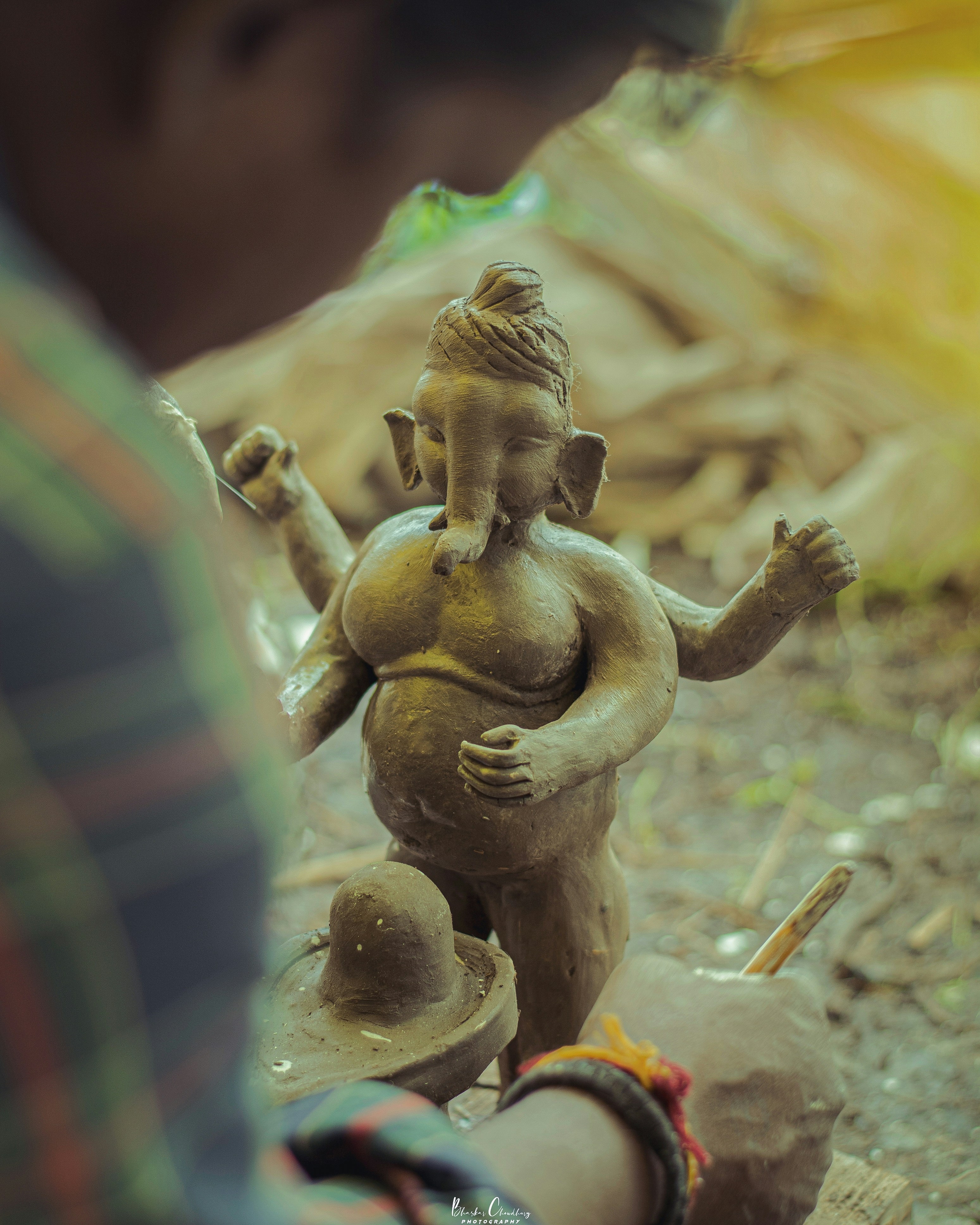 Photo by bhaskarpictures