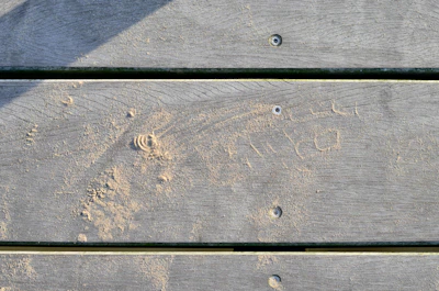 Detailed shot of wood filler drying in a small gouge on a floor, ready for sanding.