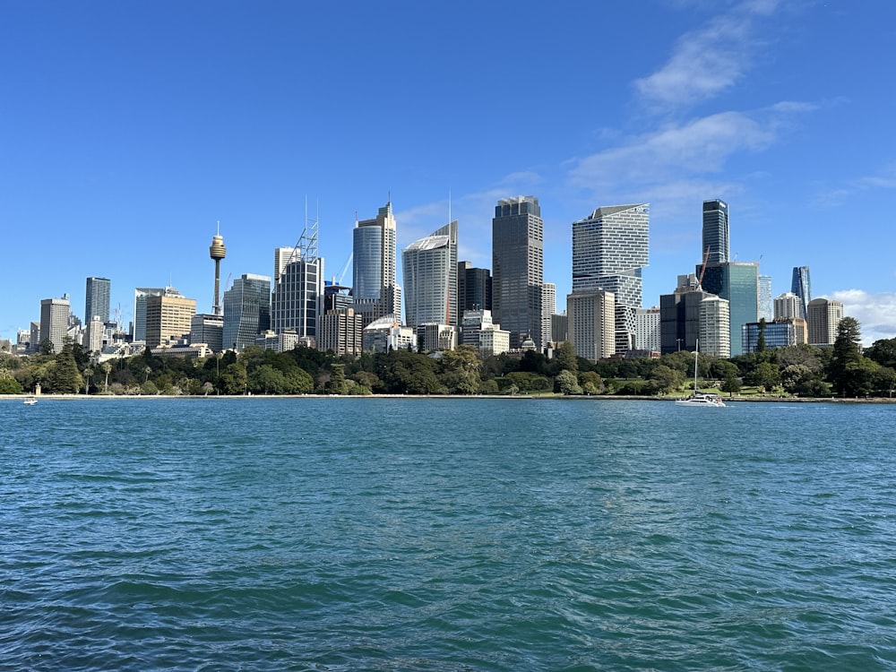 a view of a city from the water