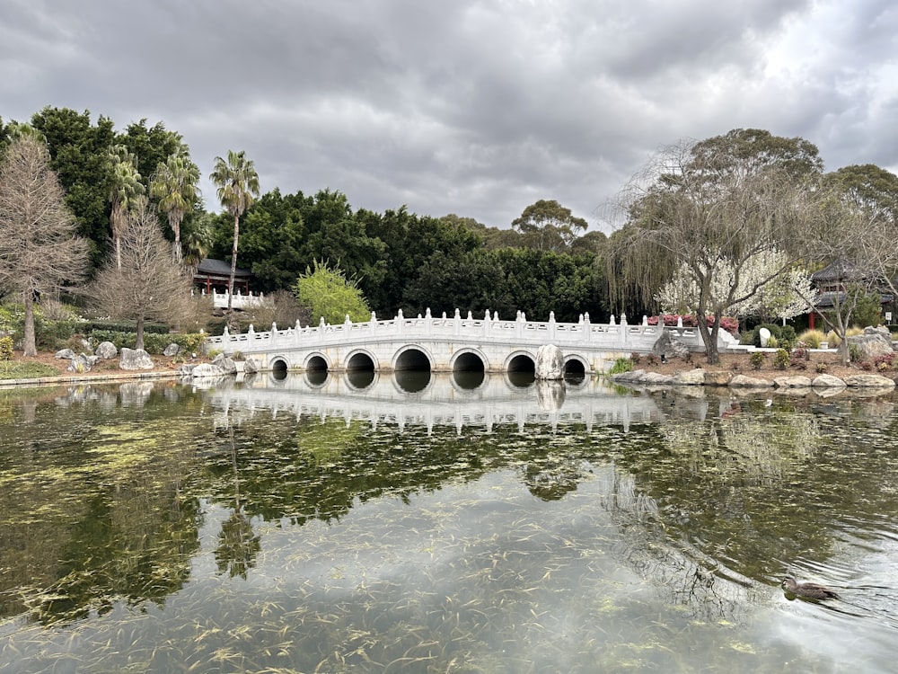 a white bridge over a body of water