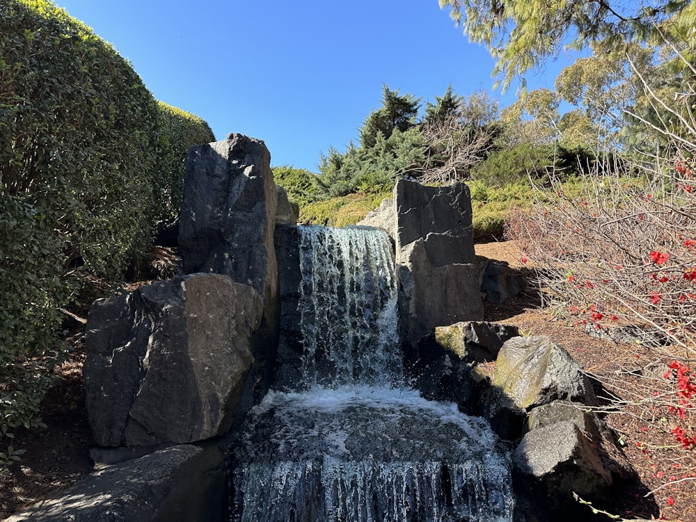 a small waterfall in the middle of a forest