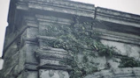 A close-up of a historic fortress wall covered in ivy with distant mountains in the background