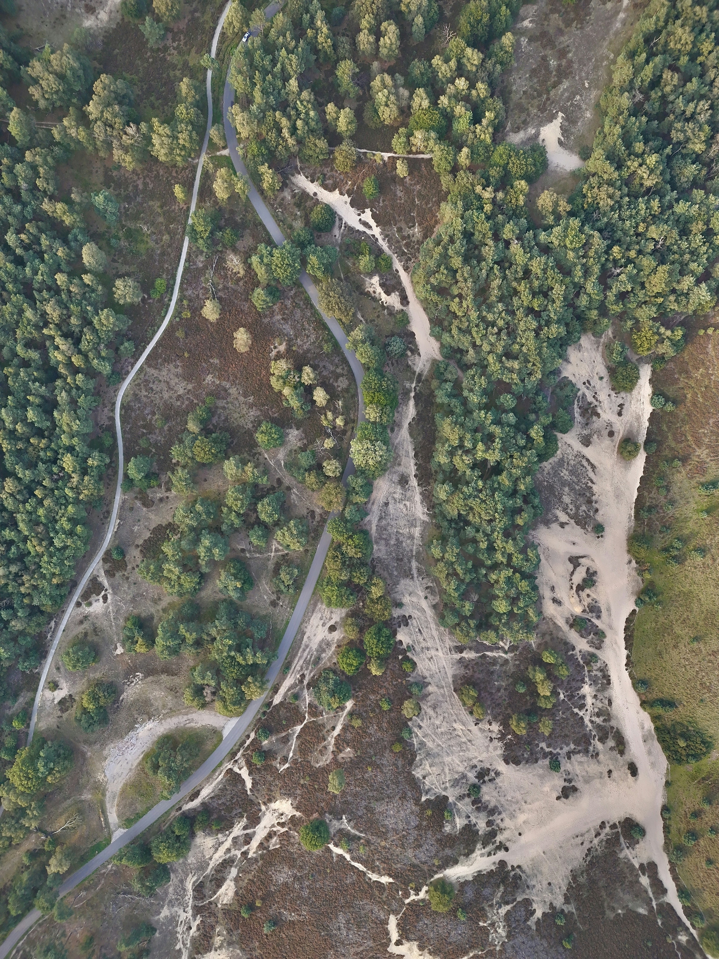 Photo by wahhabhassoo