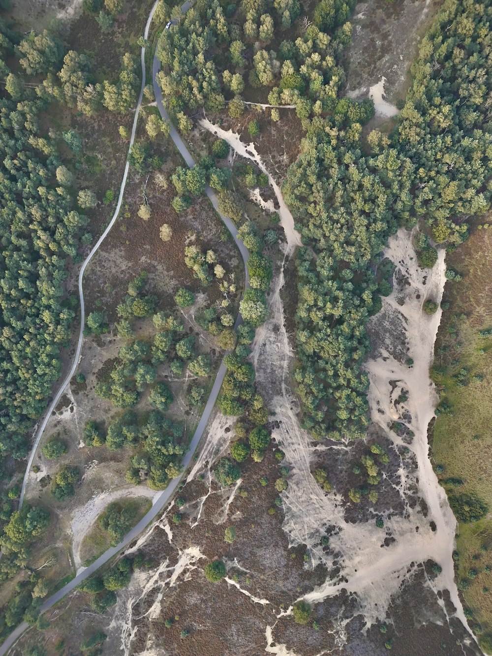 an aerial view of a winding road surrounded by trees