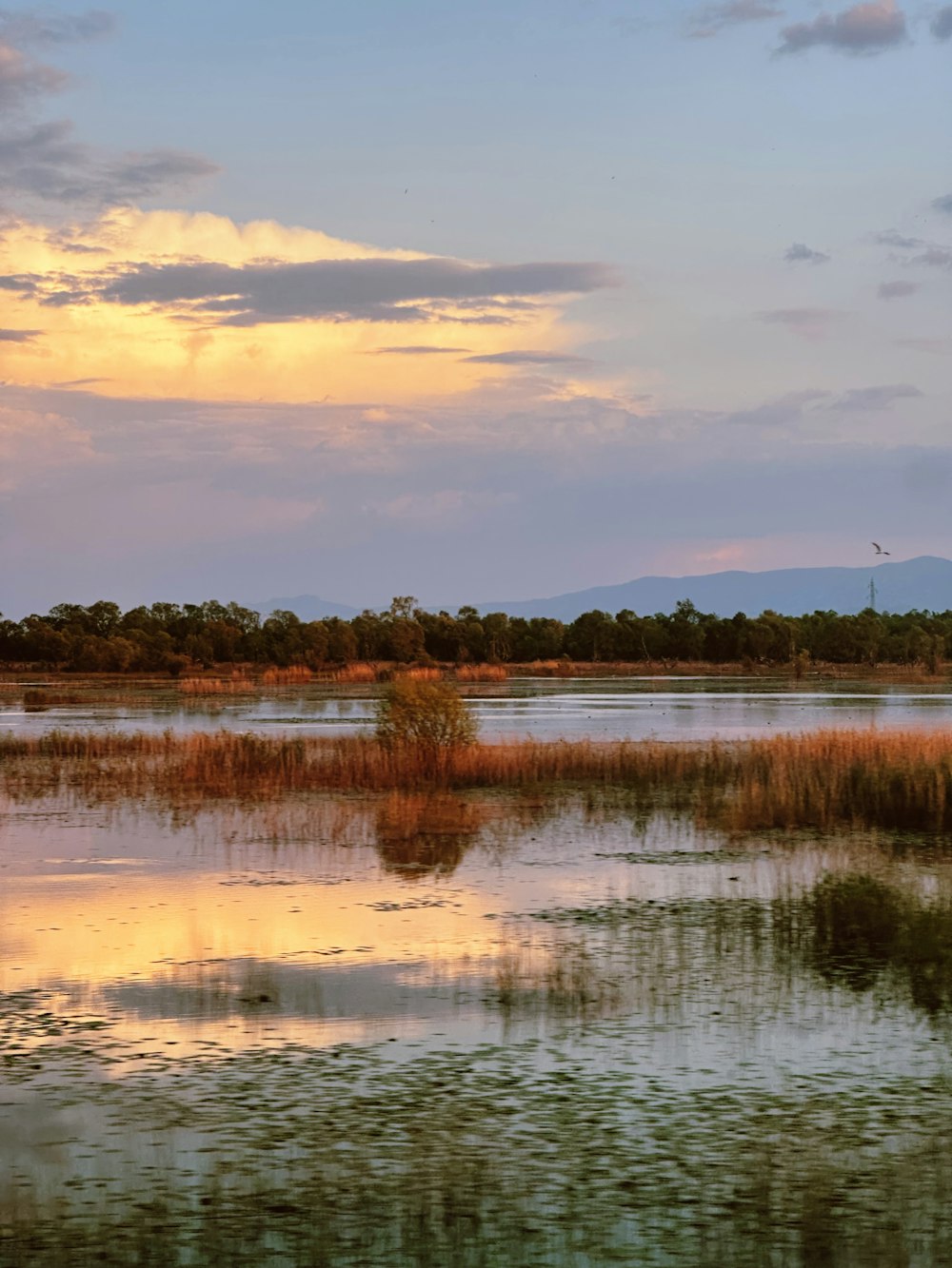 a large body of water surrounded by a lush green field