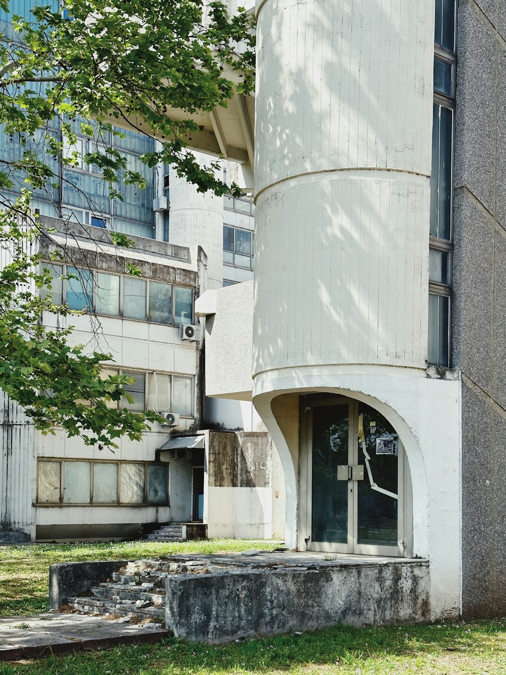 a tall white building with a tree in front of it