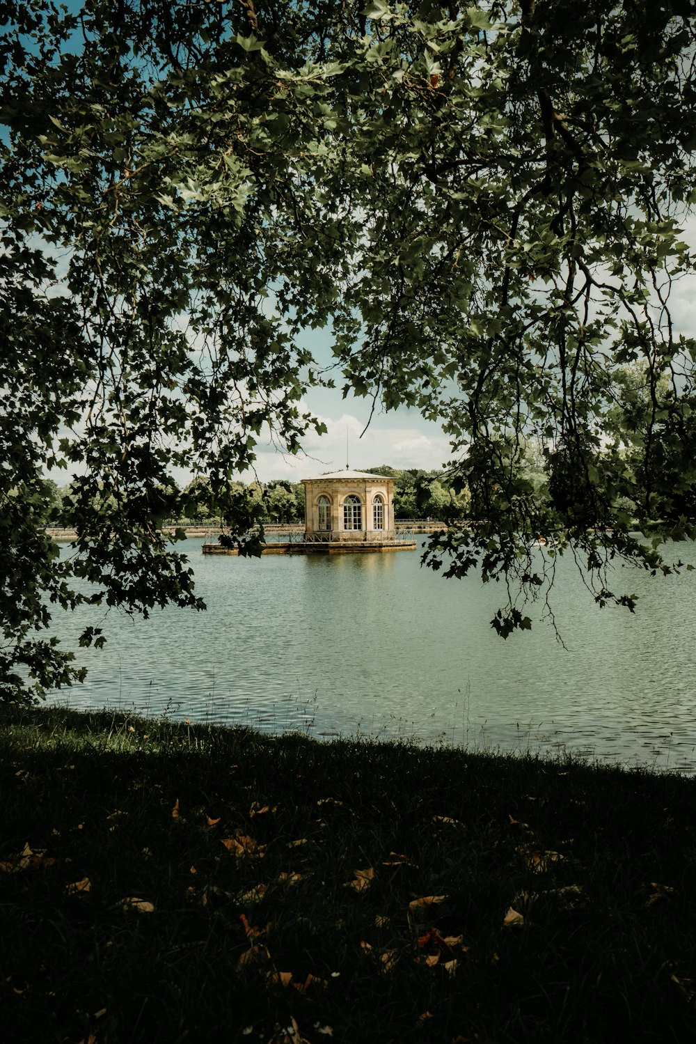 a large body of water surrounded by trees