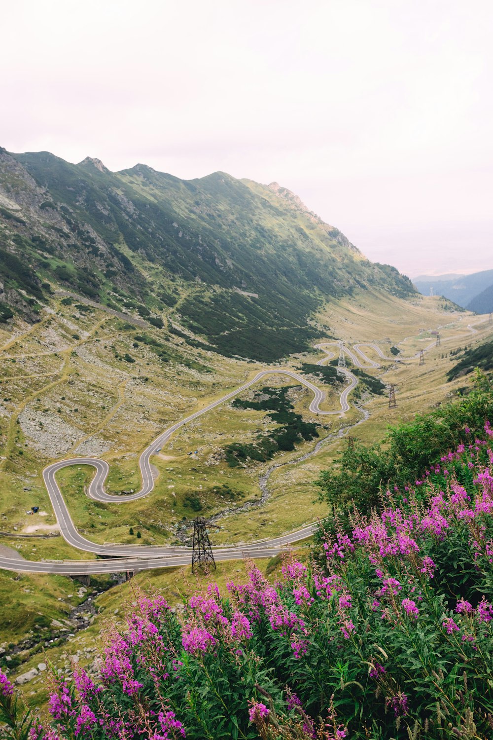 a winding road in the mountains surrounded by flowers