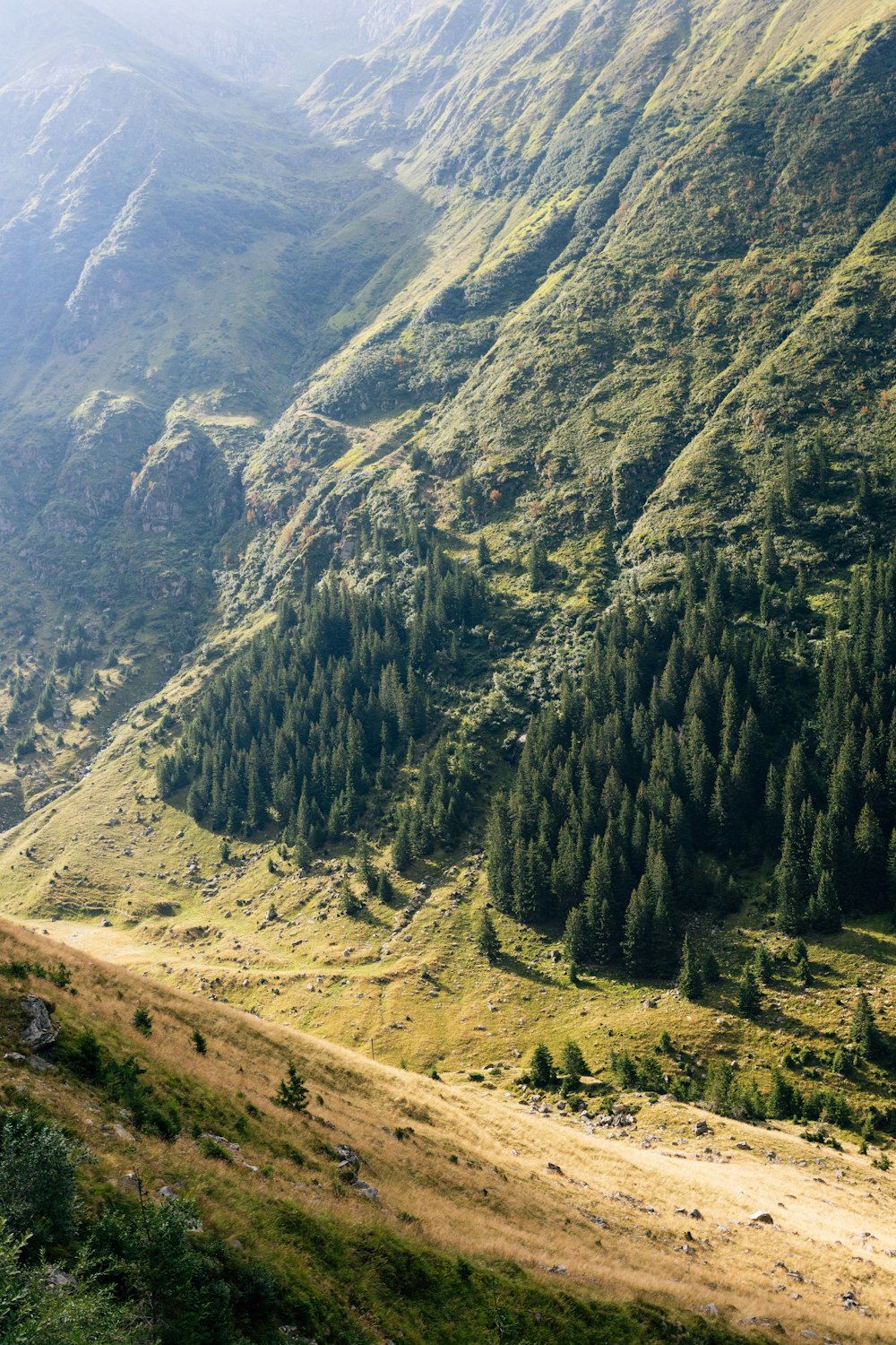 a view of a valley with a mountain in the background