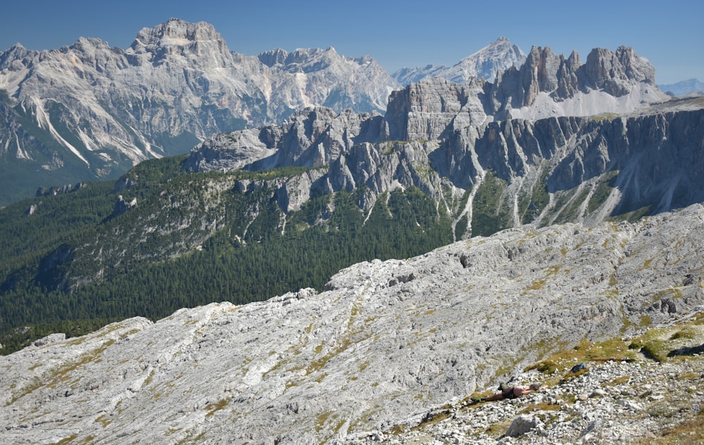 a man standing on top of a mountain next to a lush green forest