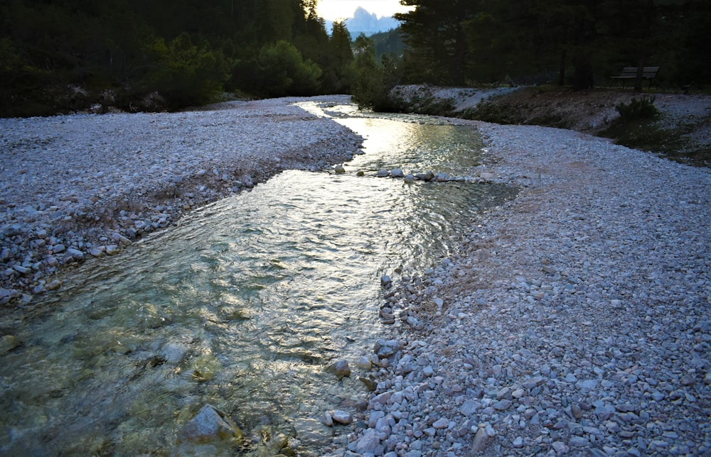 Un fiume che attraversa una foresta piena di rocce