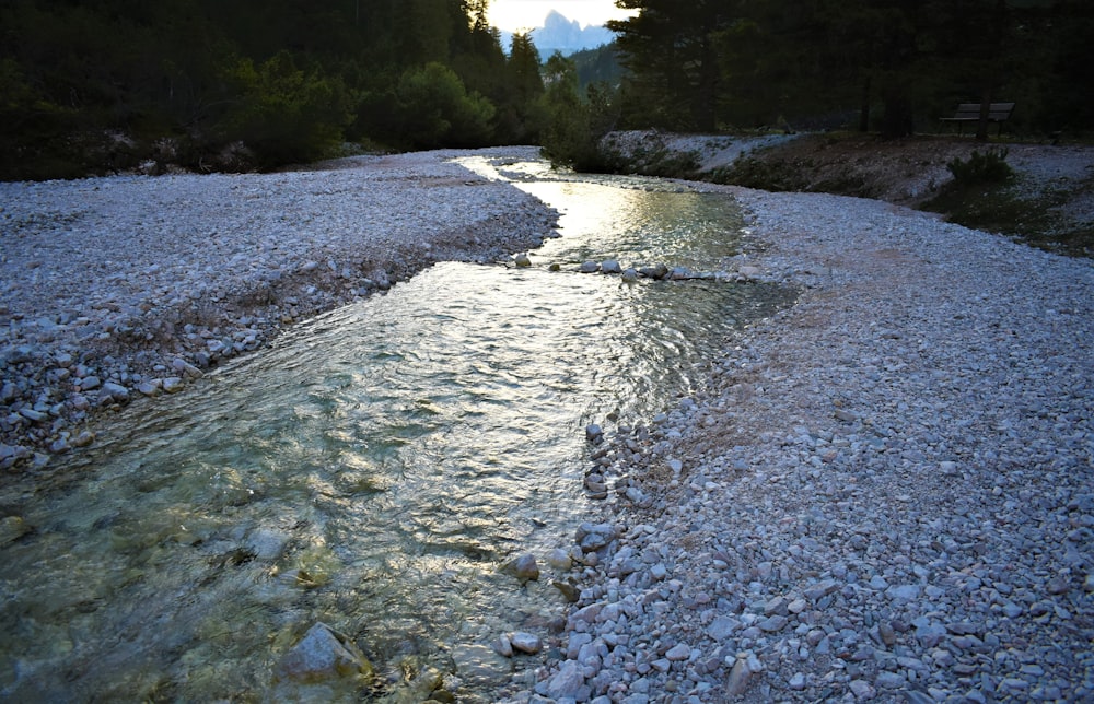 a river running through a forest filled with rocks