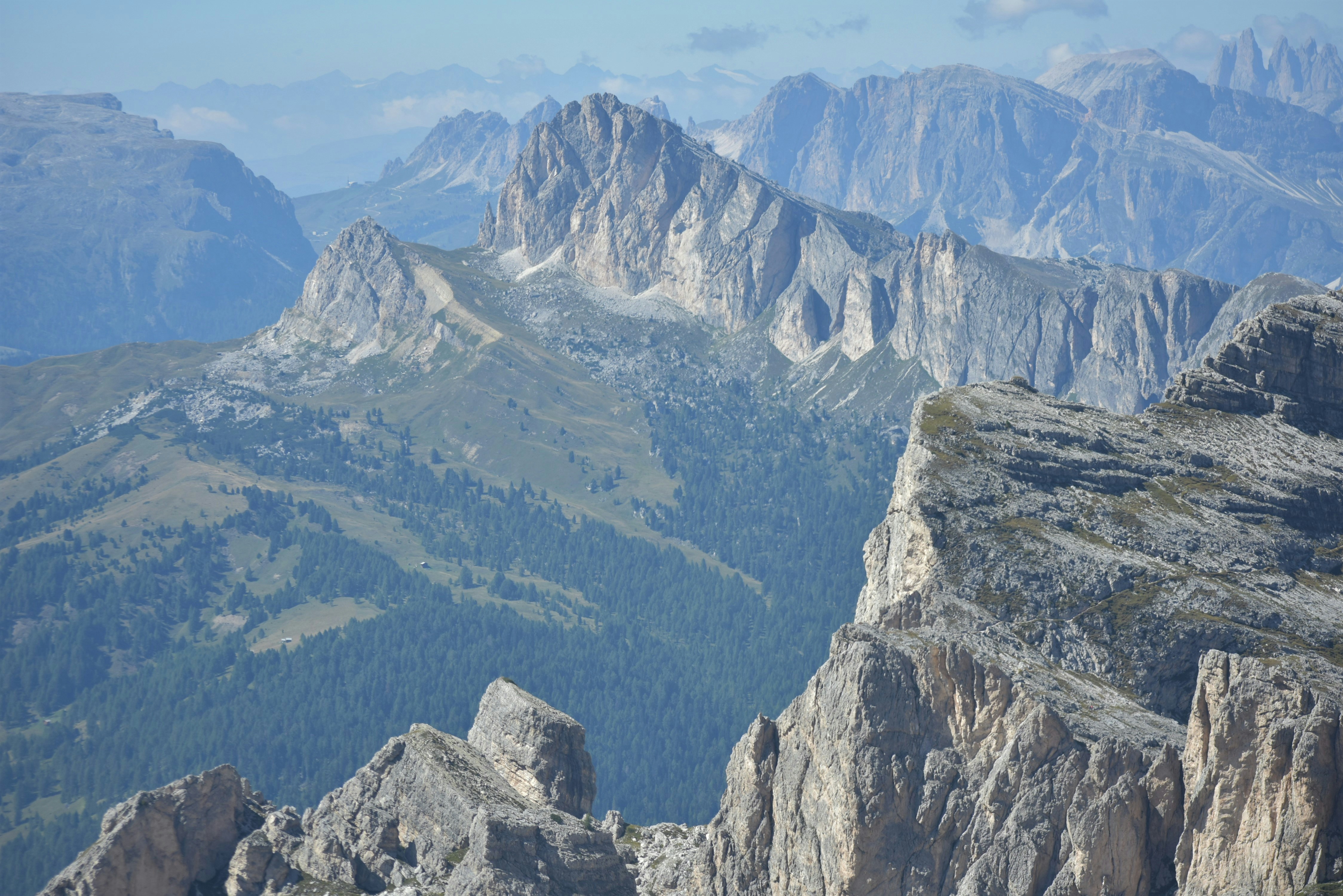 Photo by oxganggreen