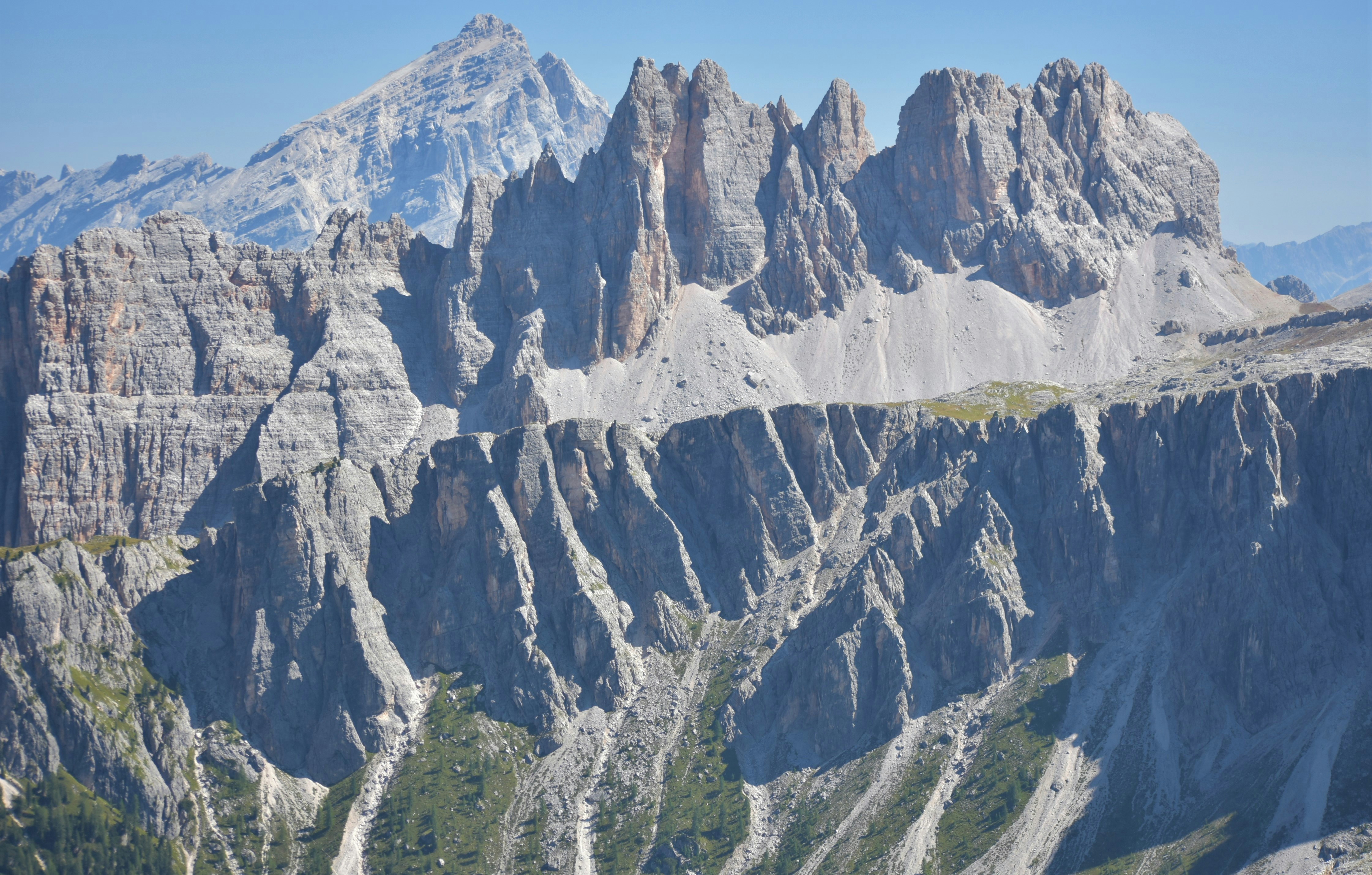 Photo by oxganggreen