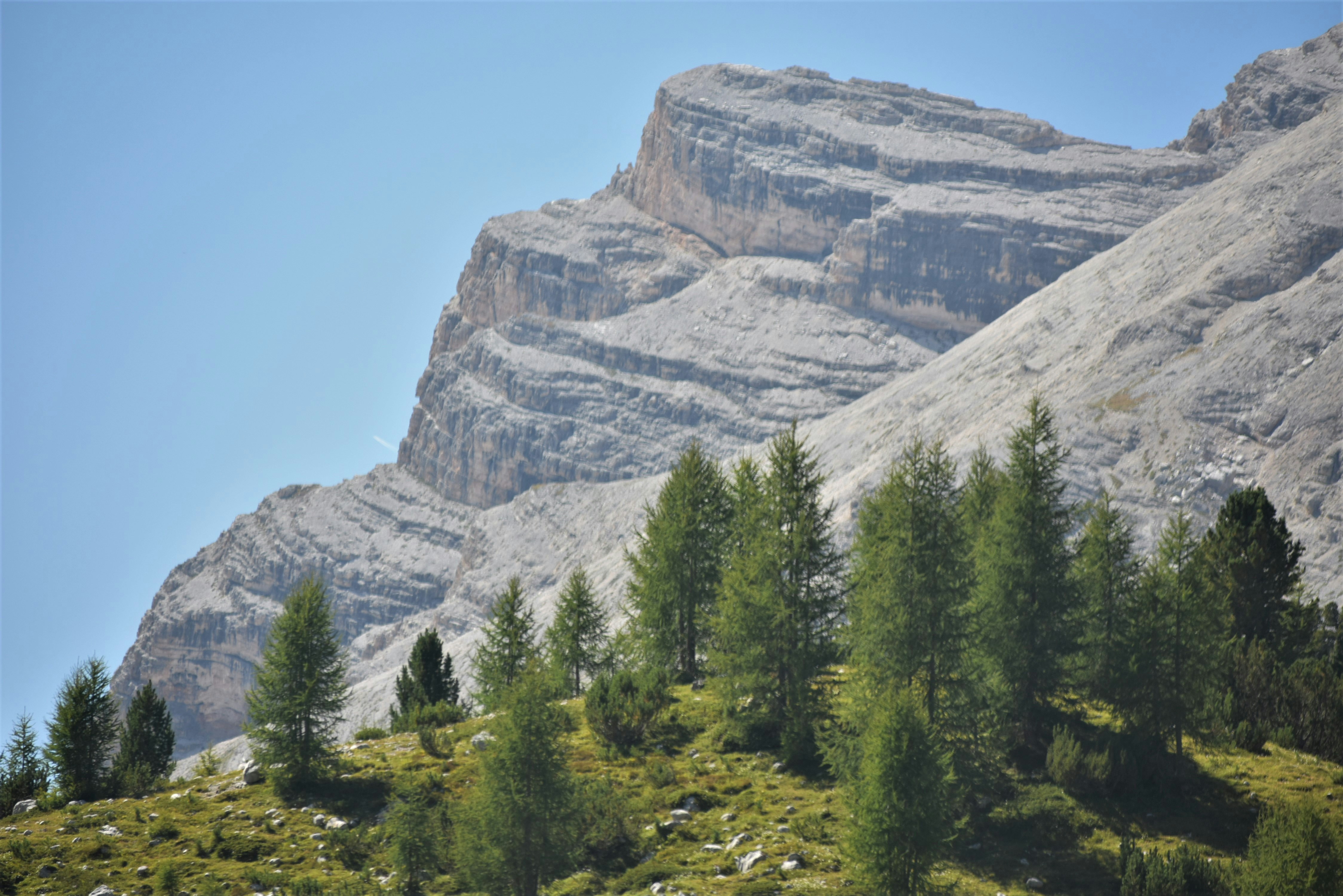 Photo by oxganggreen