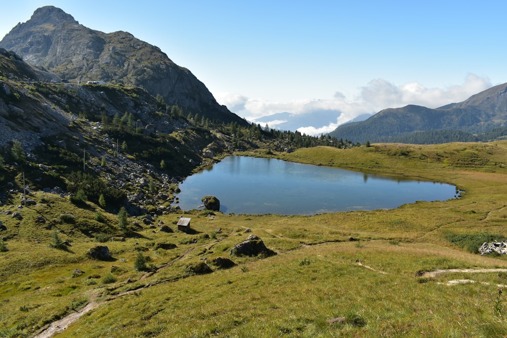 a small lake in the middle of a grassy field