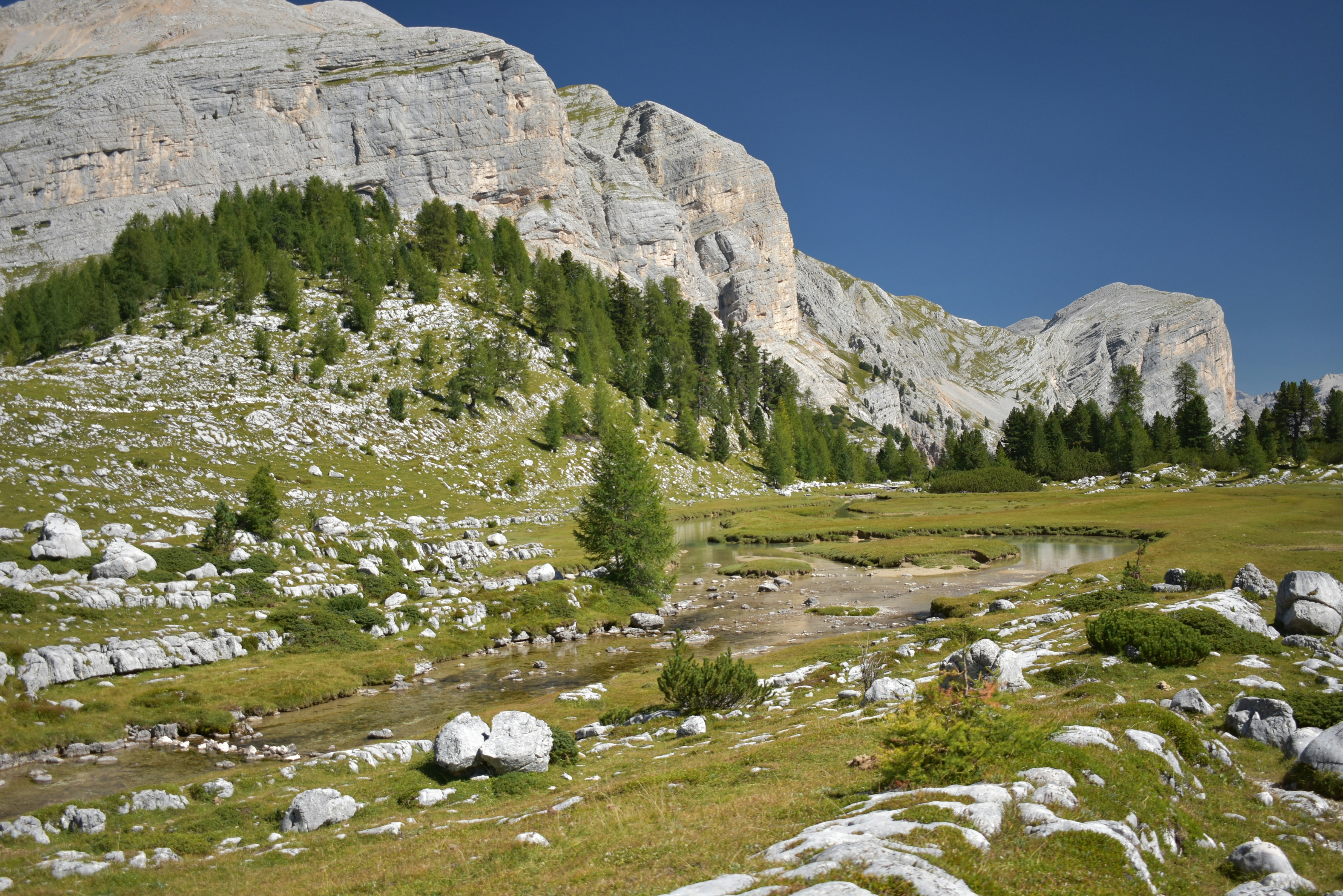 Photo by oxganggreen