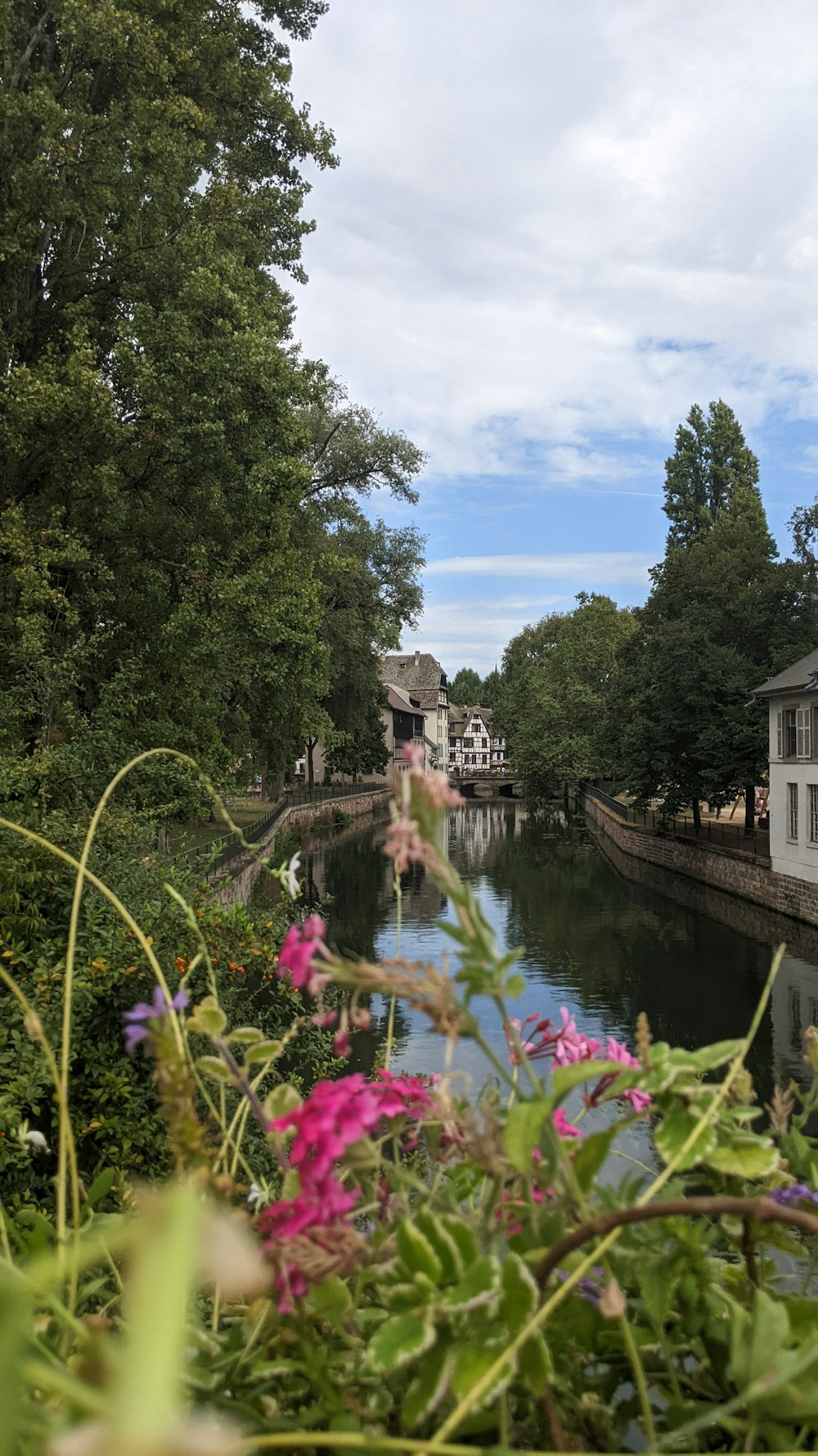 Ein Fluss, der durch einen üppigen grünen Wald fließt