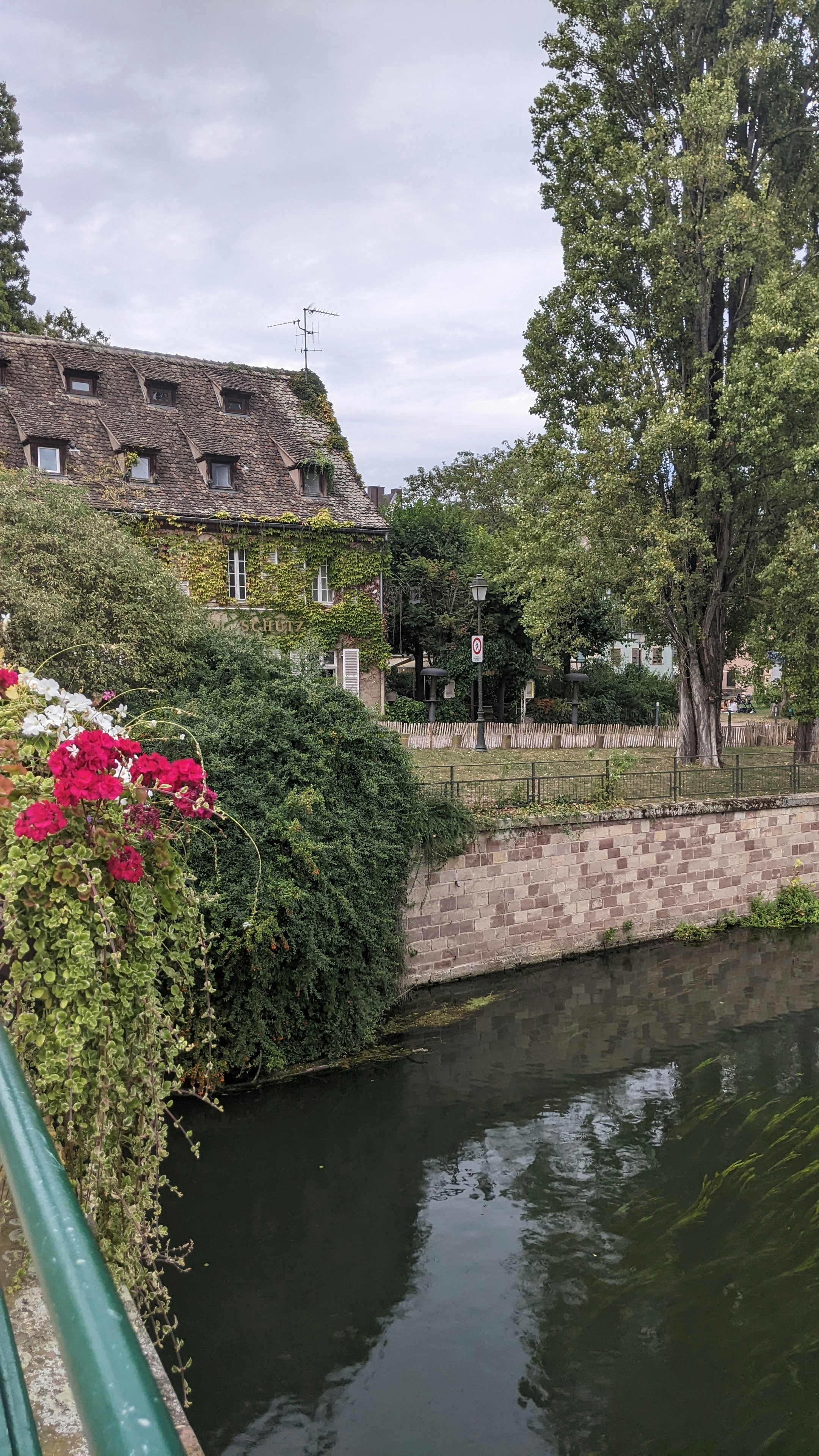 Eating Your Way Through the Vineyards: Winstubs, Farm Tables, and Market Stalls