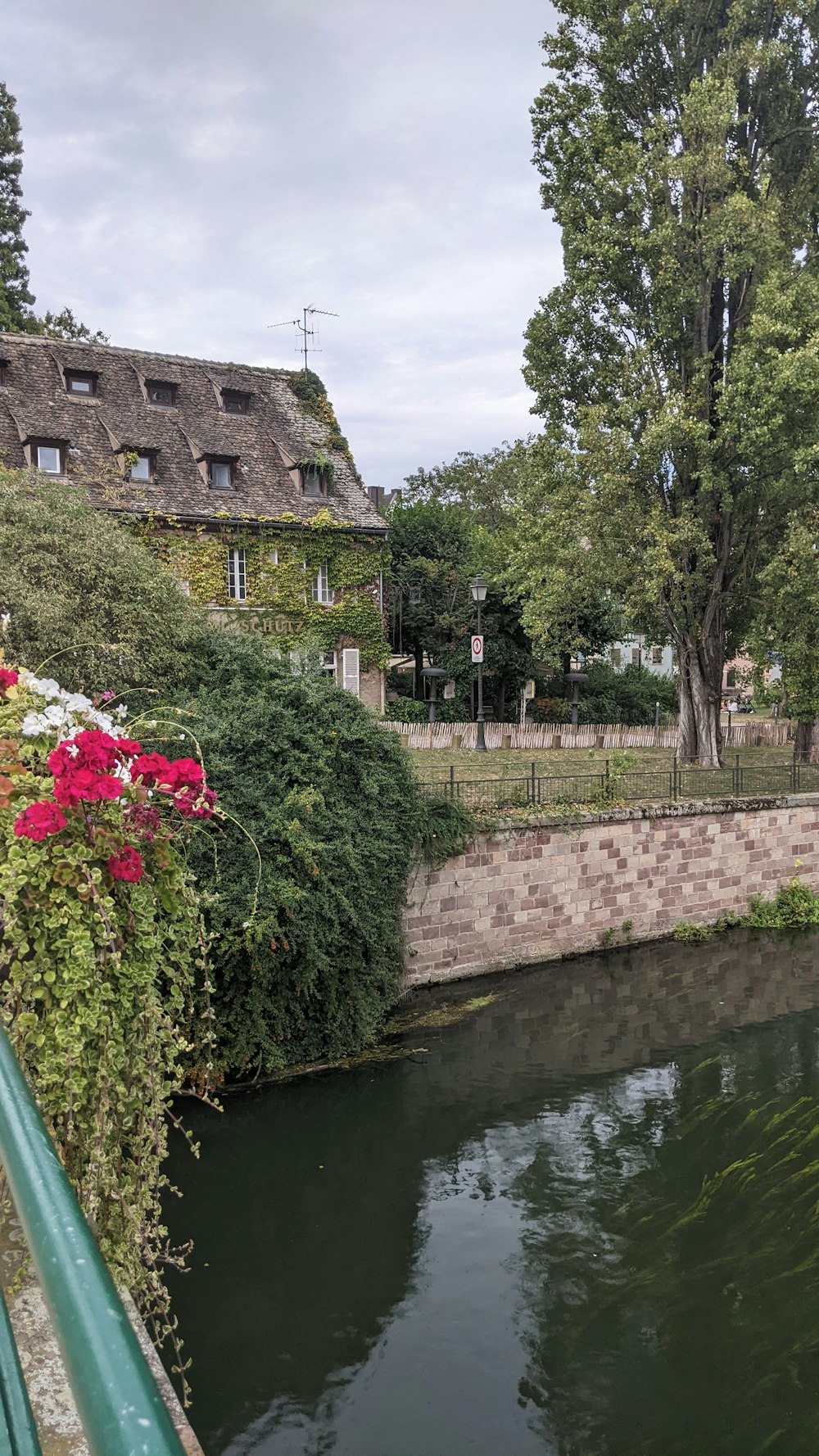 Un río que atraviesa un exuberante parque verde