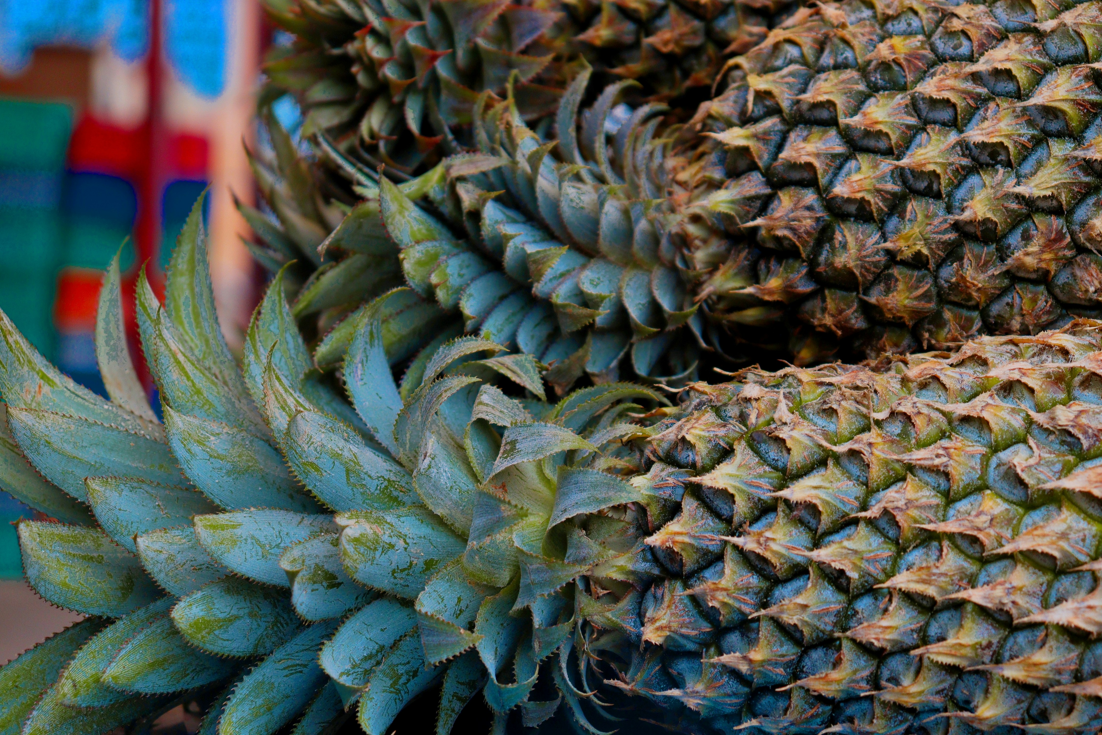 a pile of pineapples sitting next to each other