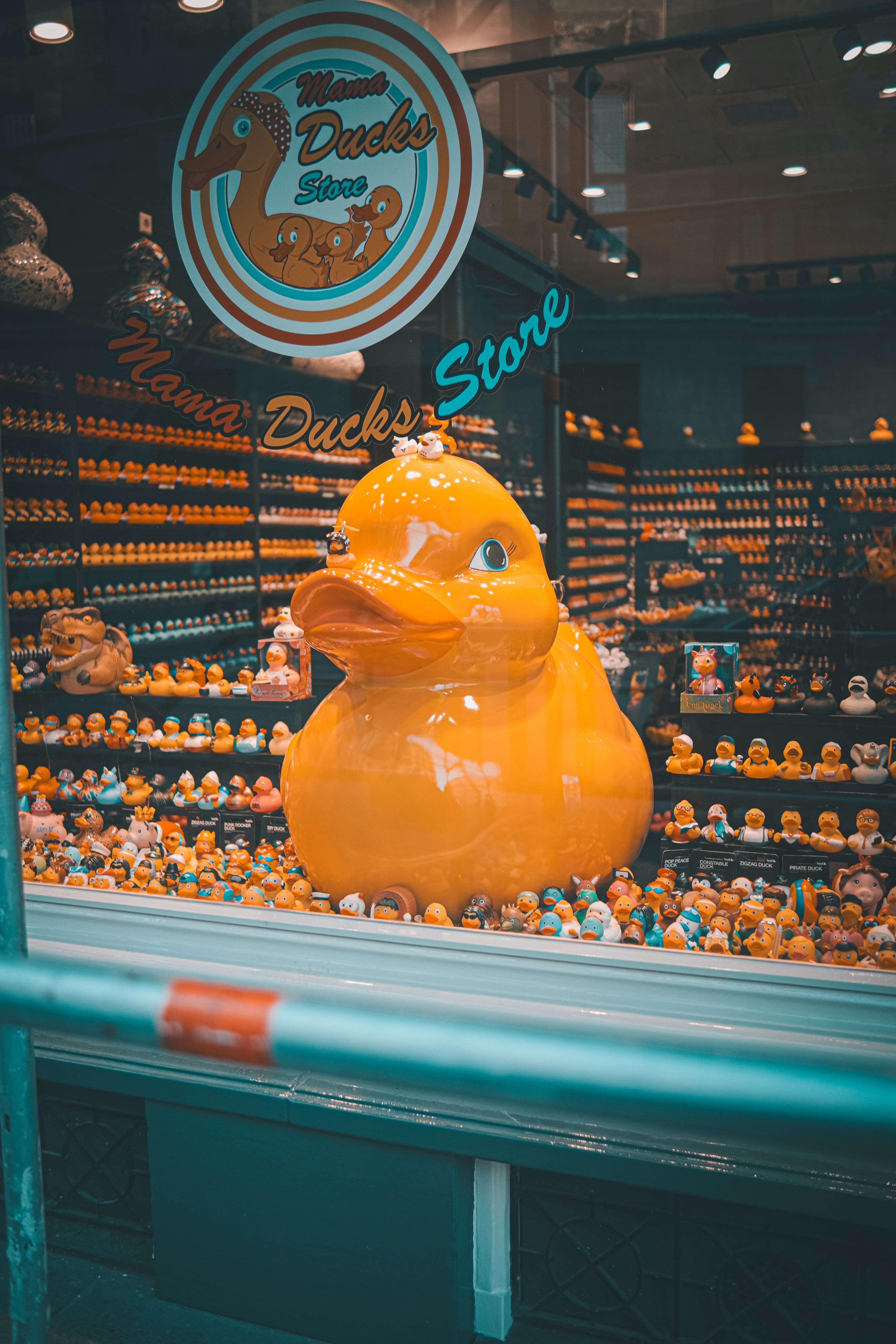 a yellow rubber duck in a store window