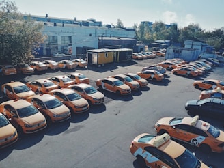 A fleet of various TLC vehicles parked in a city lot.