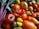A variety of fresh vegetables, including different types of tomatoes, red chili peppers, and bell peppers. The fruits and vegetables are displayed with vibrant colors and appear ripe and fresh. Green leaves can be seen in the background, adding to the lush appearance.