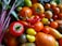 A variety of fresh vegetables, including different types of tomatoes, red chili peppers, and bell peppers. The fruits and vegetables are displayed with vibrant colors and appear ripe and fresh. Green leaves can be seen in the background, adding to the lush appearance.