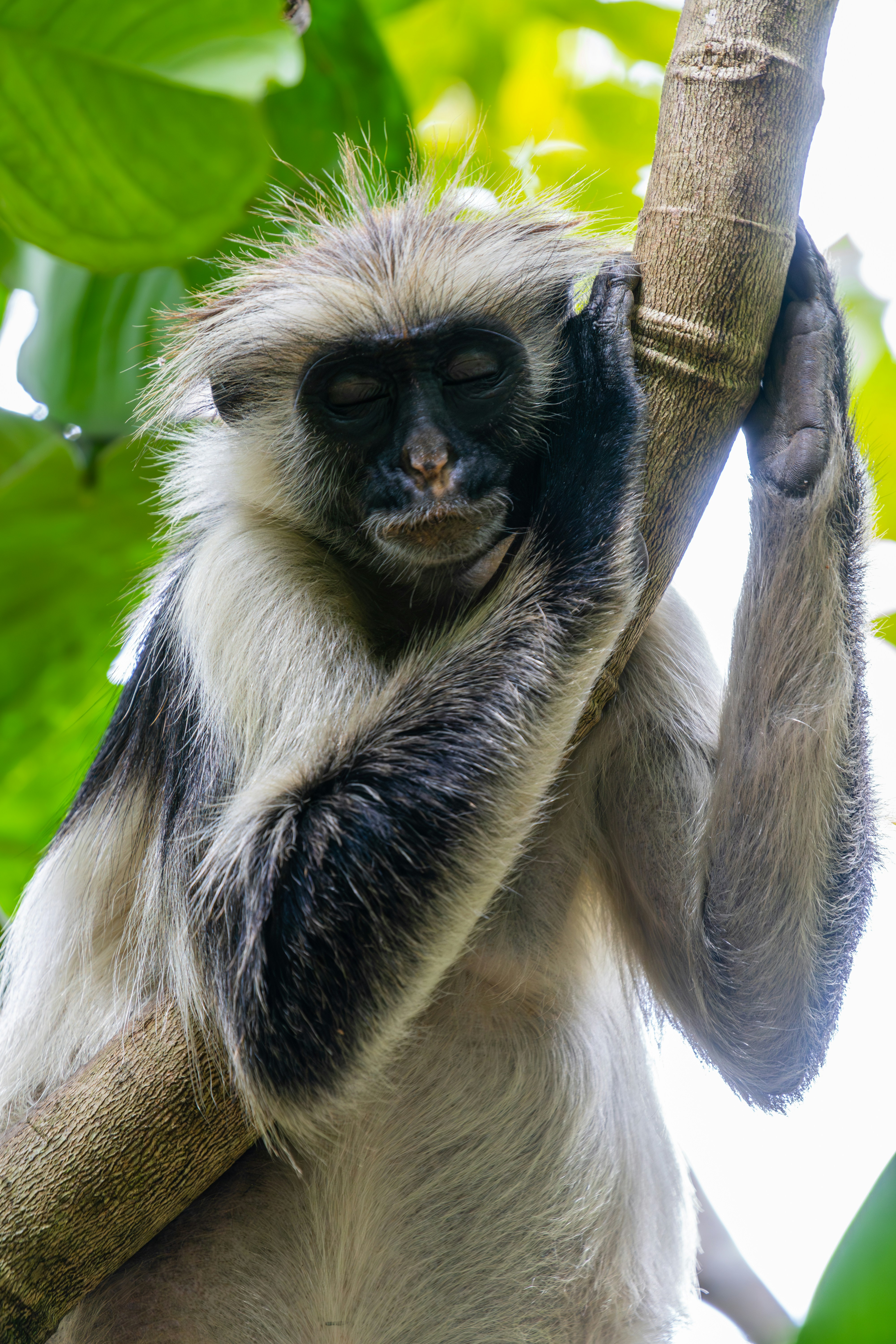 Photo by aronmarinelli