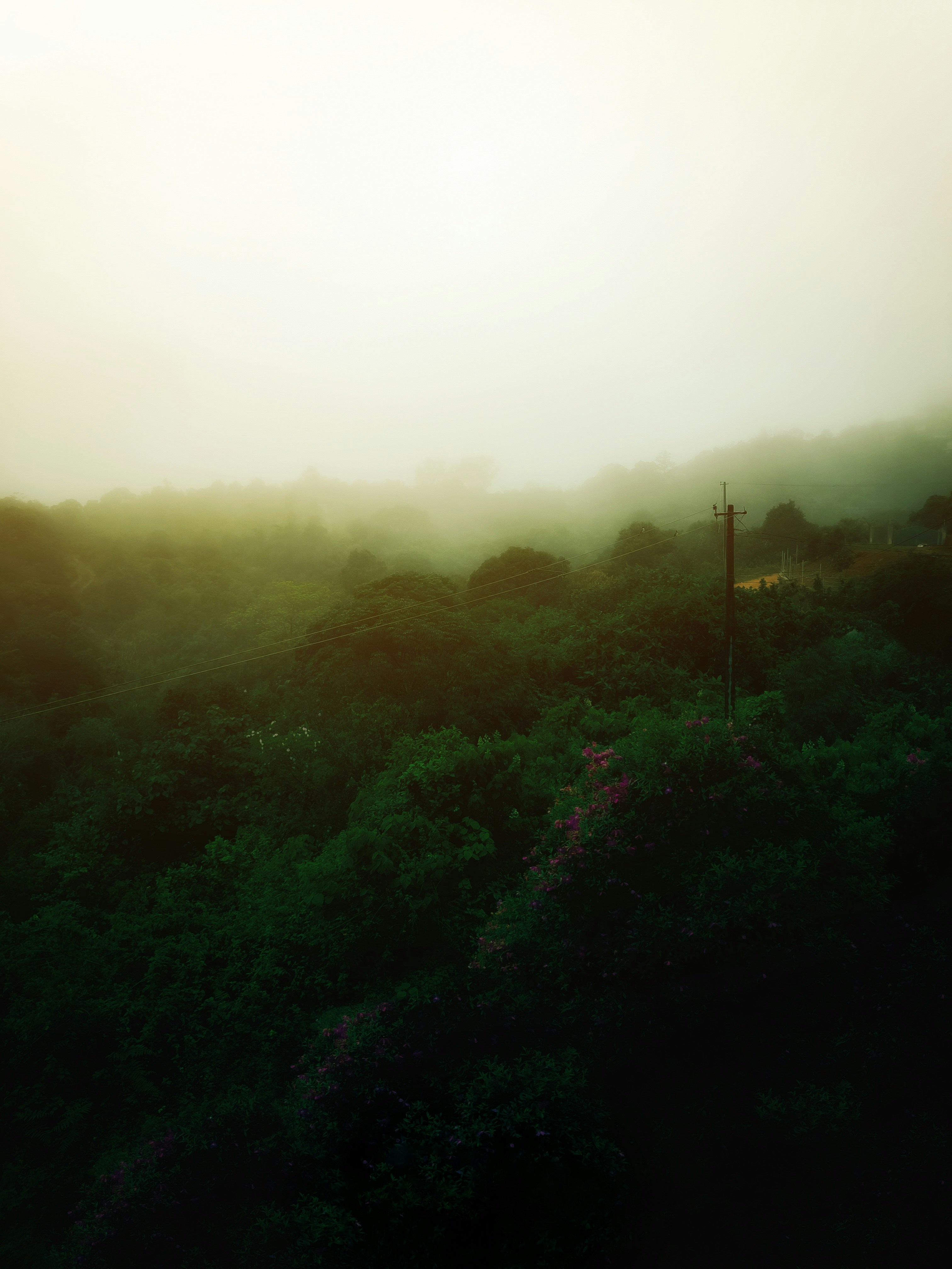 Photo by jinukochumon